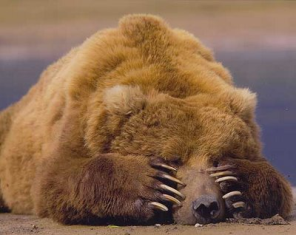 Name:  scarebear.bmp
Views: 49
Size:  203.8 KB