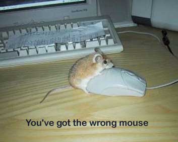Name:  vicces_funny_000809.jpg
Views: 10495
Size:  11.0 KB