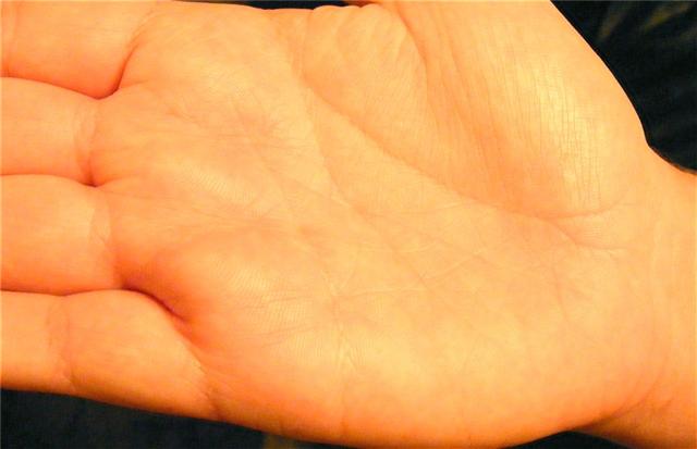 Name:  hand1.jpg
Views: 93
Size:  22.5 KB