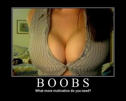 Name:  boobs[1].jpg
Views: 18
Size:  16.4 KB