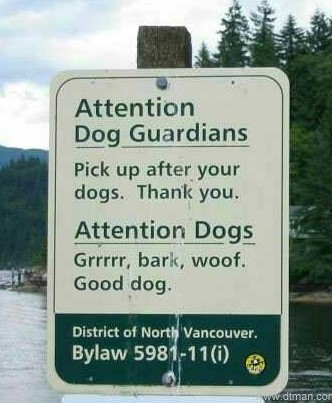 Name:  dtman_gooddog.jpg
Views: 20
Size:  63.1 KB
