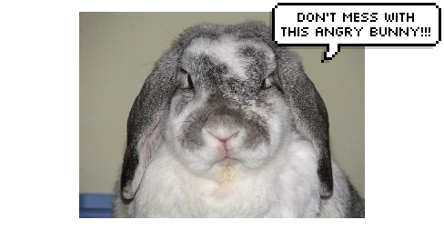 Name:  angrybunny.jpg
Views: 34
Size:  58.9 KB