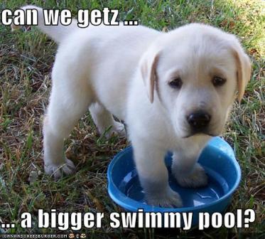 Name:  SWIM.jpg
Views: 199910
Size:  30.8 KB