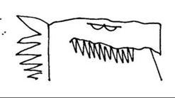 Name:  dinosaur001.jpg
Views: 123
Size:  5.9 KB