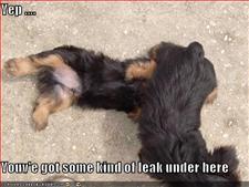 Name:  128668731879035340[1].jpg
Views: 26
Size:  9.6 KB