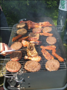 Name:  bbq.bmp
Views: 27
Size:  217.2 KB