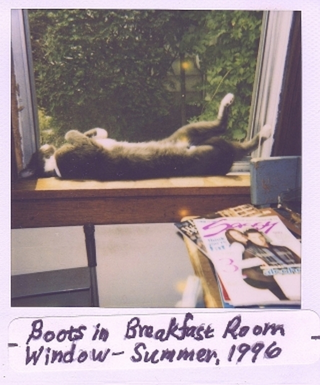 Name:  Boots in Window.jpg
Views: 335
Size:  278.1 KB