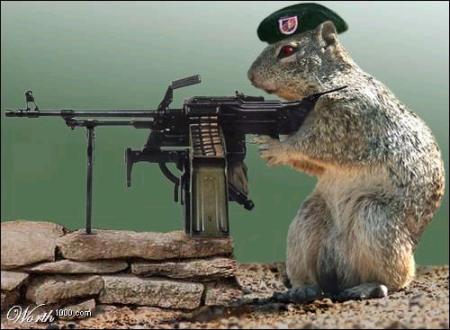Name:  squirrel_with_machine_gun.jpg
Views: 20757
Size:  28.5 KB