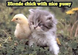 Name:  blondechick.jpg
Views: 32
Size:  23.0 KB