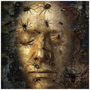 Name:  spiders.bmp
Views: 25
Size:  245.0 KB