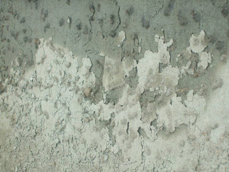 Name:  Driveway 480.jpg
Views: 5364
Size:  100.8 KB