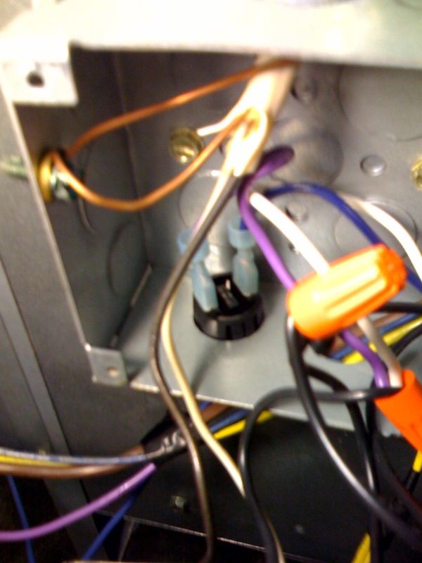 Name:  Switch inside.jpg
Views: 1287
Size:  110.8 KB