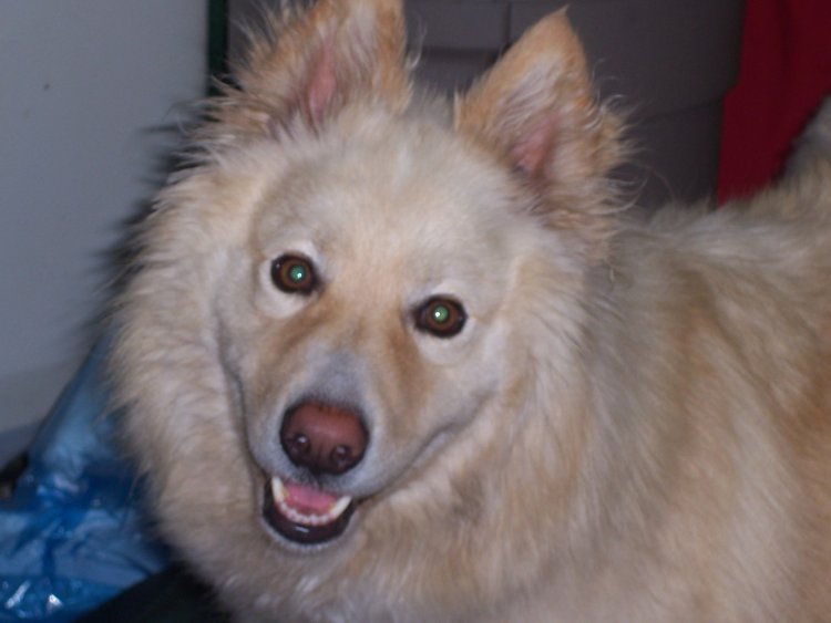 Name:  Bear and others 026.jpg
Views: 25
Size:  45.7 KB