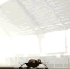 Name:  ----ICONATOR_0d9dccd201f836fc39128bd7d95a1ee1.gif
Views: 35
Size:  18.0 KB