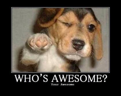 Name:  whos-awesome.jpg
Views: 35
Size:  17.8 KB