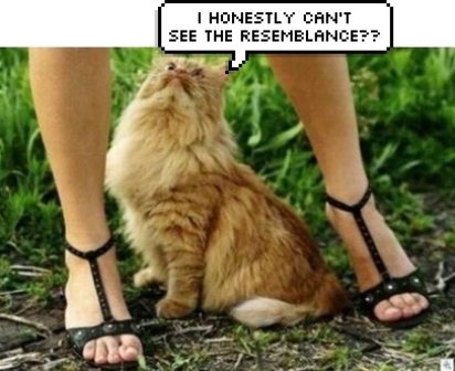 Name:  cat.jpg
Views: 465
Size:  101.8 KB