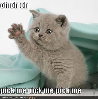Name:  pickme.jpg
Views: 39
Size:  17.0 KB