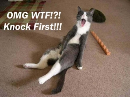 Name:  catmasterbating[1].jpg
Views: 69
Size:  106.9 KB