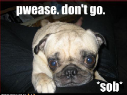 Name:  don't go 2.bmp
Views: 28
Size:  148.6 KB