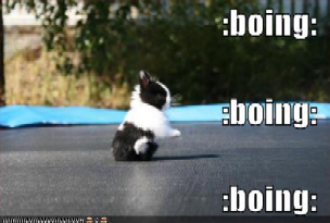 Name:  Boing small.bmp
Views: 34
Size:  182.6 KB