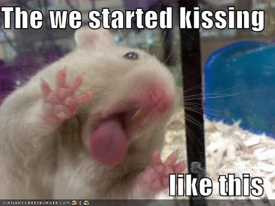 Name:  funny-pictures-hamster-kiss-glass[1].jpg
Views: 28
Size:  27.0 KB
