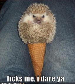Name:  hedgehog little.bmp
Views: 34
Size:  212.3 KB