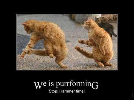 Name:  cool-cats.jpg
Views: 1250
Size:  22.2 KB