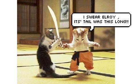 Name:  elroy.jpg
Views: 4992
Size:  21.0 KB