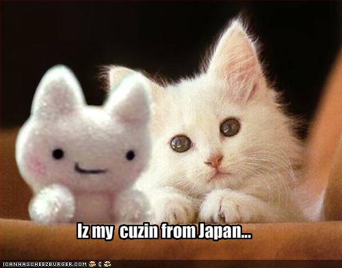 Name:  funny-pictures-kitten-has-a-japanese-cousin.jpg
Views: 12241
Size:  25.8 KB