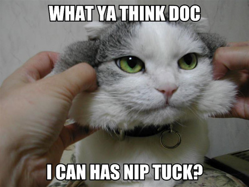 Name:  what-ya-think-doc-i-can-has.jpg
Views: 2262
Size:  53.1 KB