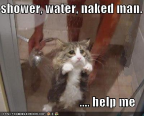 Name:  shower.bmp
Views: 958
Size:  201.1 KB