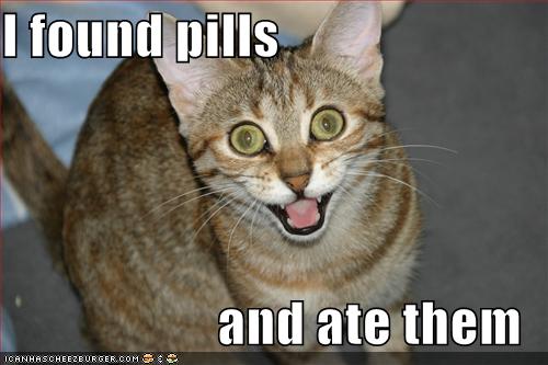 Name:  lolcat-funny-picture-found-pills-ate-eat.jpg
Views: 31727
Size:  29.1 KB