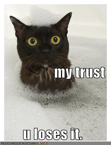 Name:  funny-pictures-cat-bubble-bath-trust.jpg
Views: 8451
Size:  30.9 KB