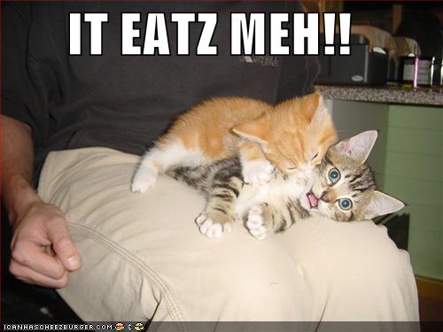 Name:  128341469950937500iteatzmeh.jpg
Views: 20319
Size:  26.8 KB