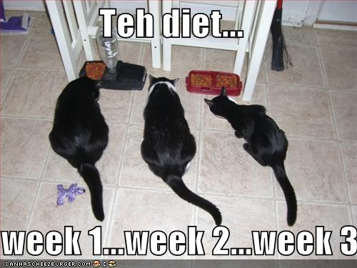 Name:  funny-pictures-diet-cats-different-weeks.jpg
Views: 18240
Size:  37.5 KB