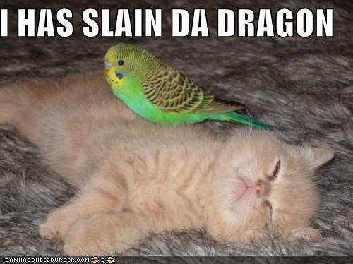 Name:  funny-pictures-bird-slays-kitten.jpg
Views: 227738
Size:  32.6 KB