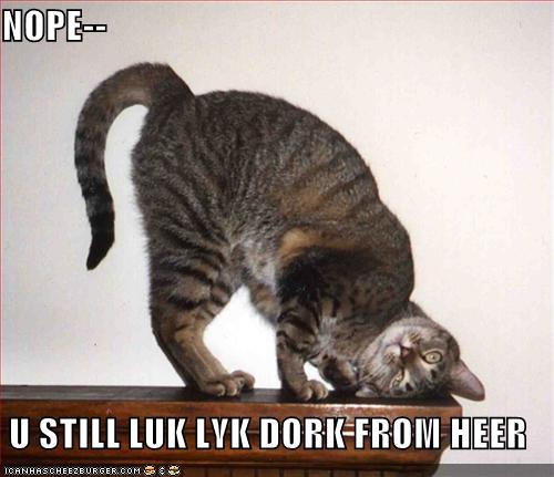 Name:  funny-pictures-looks-like-a-dork.jpg
Views: 20390
Size:  33.2 KB