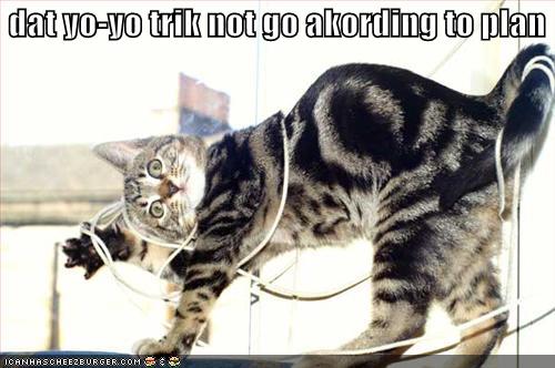 Name:  funny-pictures-cat-had-a-yo-yo-accident.jpg
Views: 2144
Size:  34.5 KB
