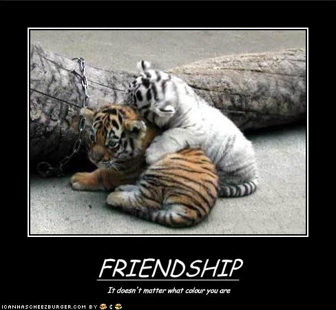 Name:  funny-pictures-friendship-knows-no-colors.jpg
Views: 1119
Size:  34.0 KB