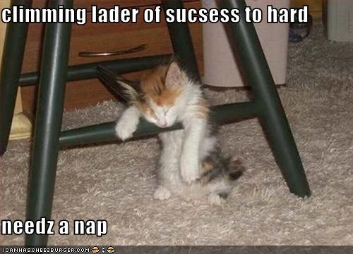 Name:  funny-pictures-kitten-climbs-the-ladder-of-success1.jpg
Views: 3903
Size:  35.1 KB