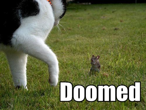 Name:  doomed.jpg
Views: 5168
Size:  43.3 KB
