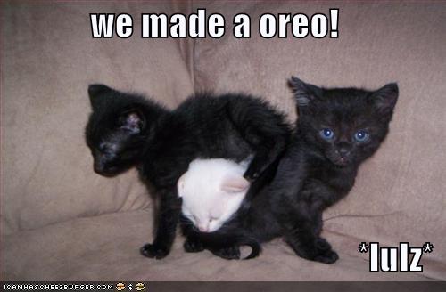 Name:  128345604262500000wemadeaoreo.jpg
Views: 3447
Size:  24.0 KB