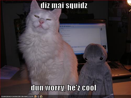 Name:  funny-pictures-cat-squidz.jpg
Views: 5549
Size:  24.9 KB