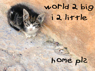 Name:  worldbig.jpg
Views: 3486
Size:  151.4 KB