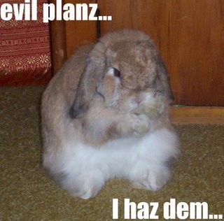 Name:  evil[1].jpg
Views: 80785
Size:  22.3 KB