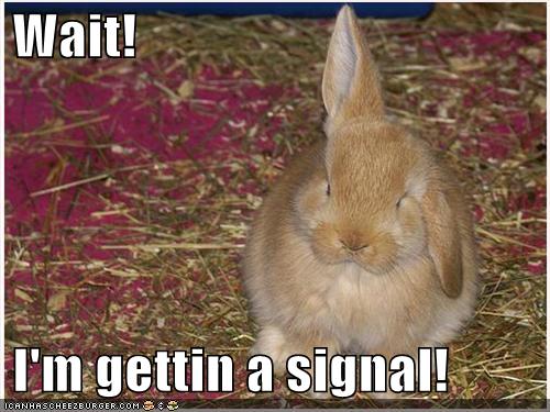 Name:  funny-pictures-bunny-rabbit-antennae7.jpg
Views: 378029
Size:  43.7 KB