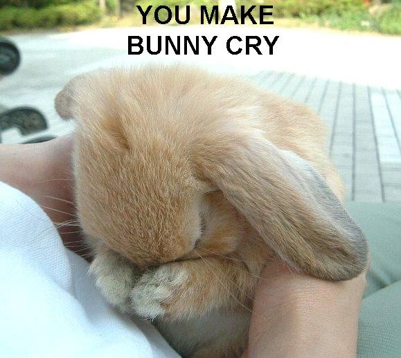 Name:  bunnysad.jpg
Views: 38078
Size:  64.0 KB