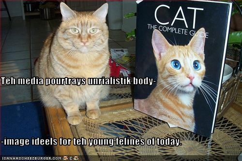 Name:  funny-pictures-cat-blames-media-for-bad-body-image.jpg
Views: 1410
Size:  40.0 KB