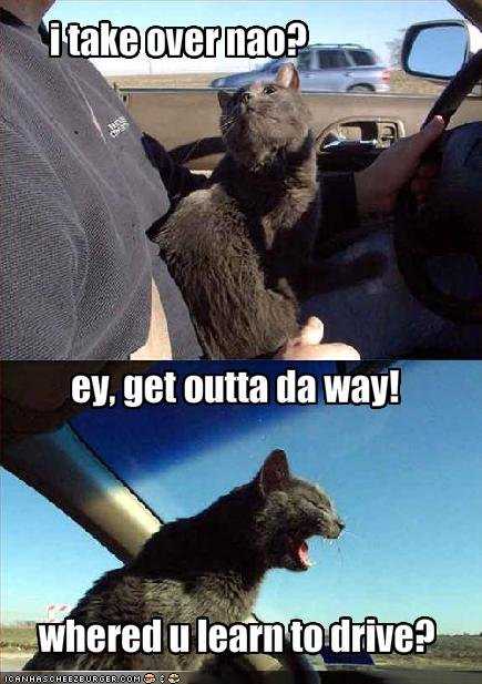 Name:  funny-pictures-your-cat-is-not-a-friendly-driver1.jpg
Views: 1383
Size:  56.2 KB