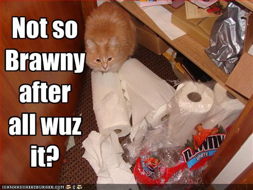Name:  funny-pictures-cat-battles-the-paper-towels.jpg
Views: 13468
Size:  39.5 KB